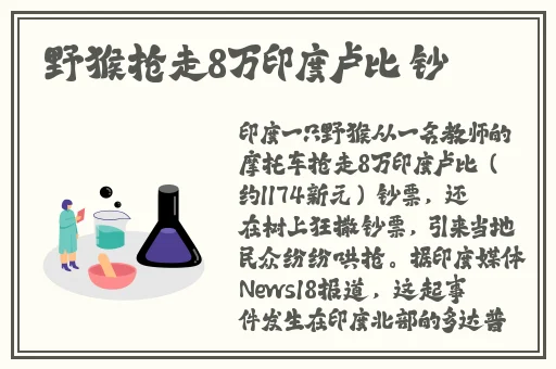 免费视频片在线观看