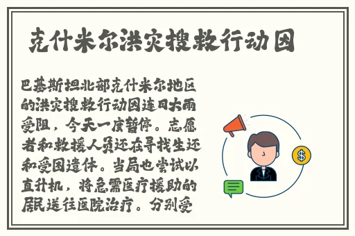 伊对伊对免费下载安装