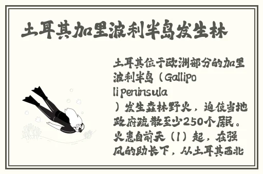 数学课代表跟我说别生了
